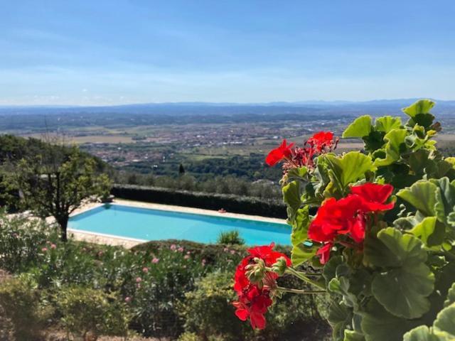 Agriturismo Cima Alla Serra Buti Exterior photo