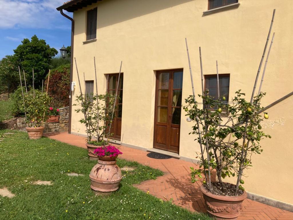 Agriturismo Cima Alla Serra Buti Exterior photo